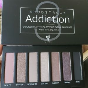 Younique Addiction pallet 3